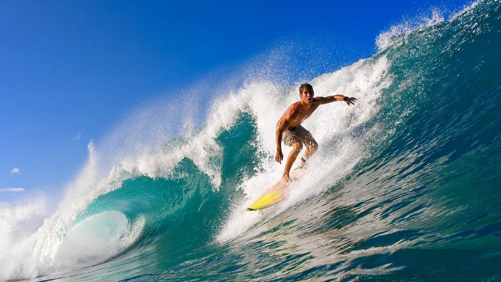 华体会真人-“费尔南多·比亚尔巴：阿根廷橄榄球的进攻标杆，未来无限”